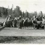 Hank Rahn took this snapshot of grizzlies at the Otter Creek feeding ground eating garbage in 1939. Rahn (The Man who Fed the Bears) often saw 40 or 50 grizzlies there. Before the park service reversed this policy, it resulted in many fatalities for both humans and bears. Photo courtesy of Hank Rahn